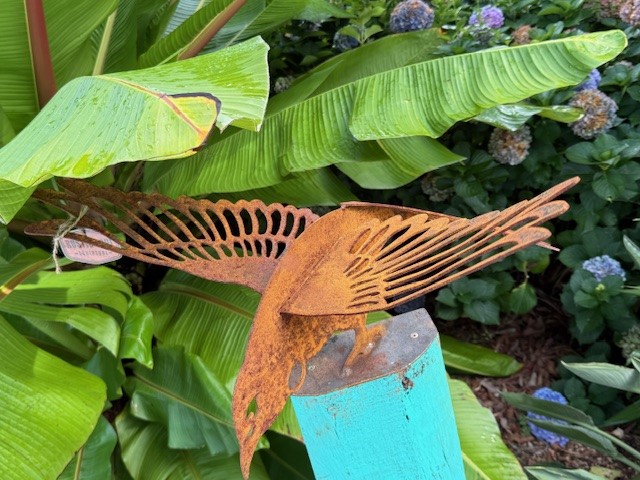 images/RS TUITUI3.jpg